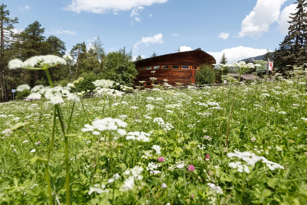 Kunsthandwerk der Dolomiten: Authentische Souvenirs