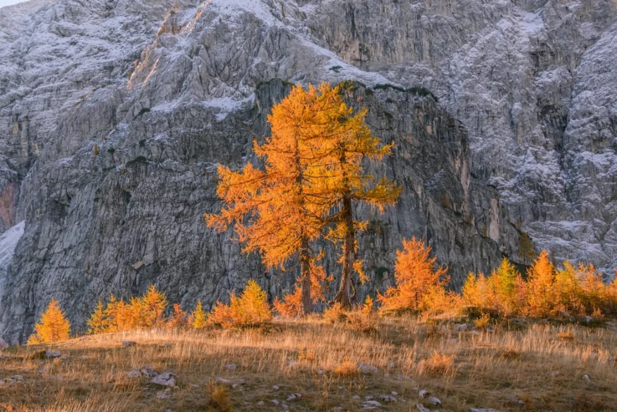 Autumn in the Dolomites: Foliage and Adventure