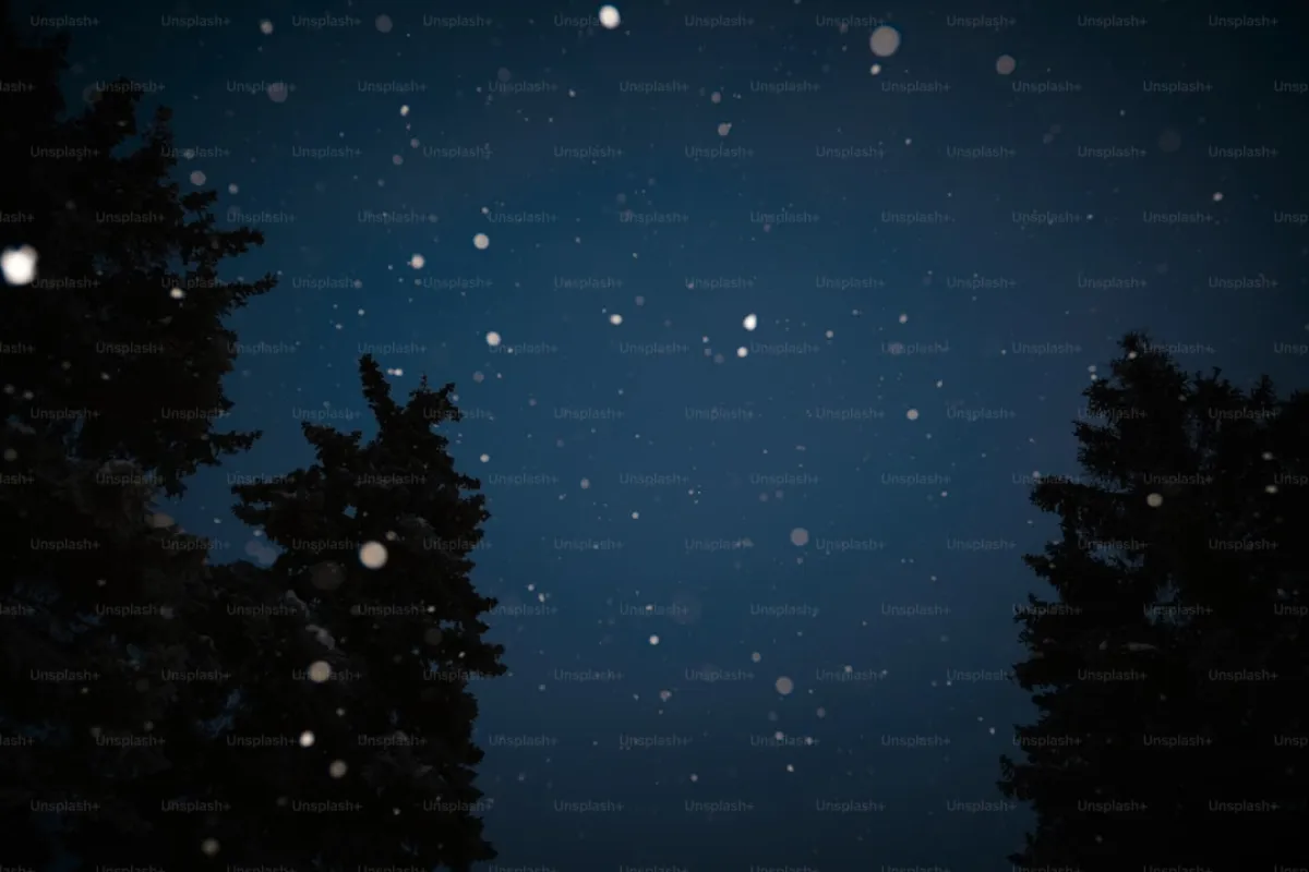 Raquettes Nocturnes : Une Expérience Unique