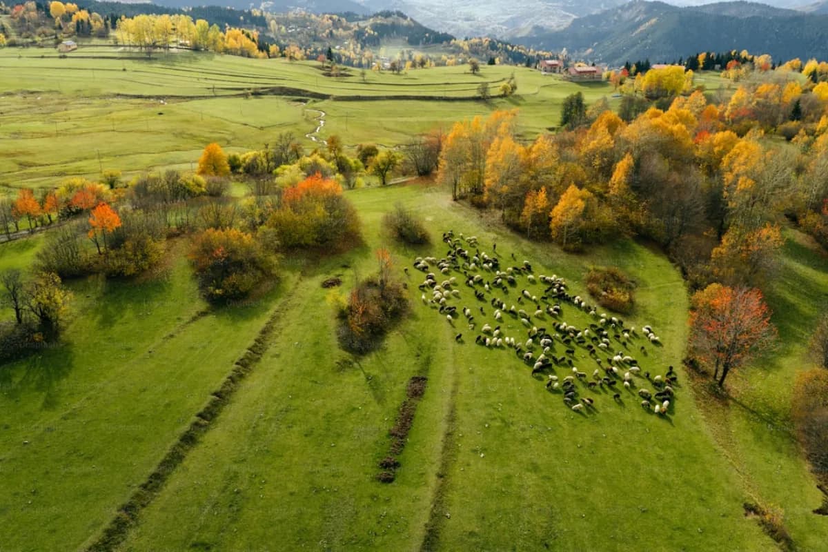 Alpages des Dolomites : Ou Manger en Altitude