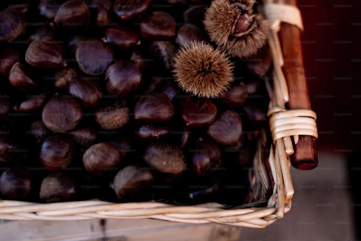 Torggelen in the Dolomites: New Wine and Chestnuts