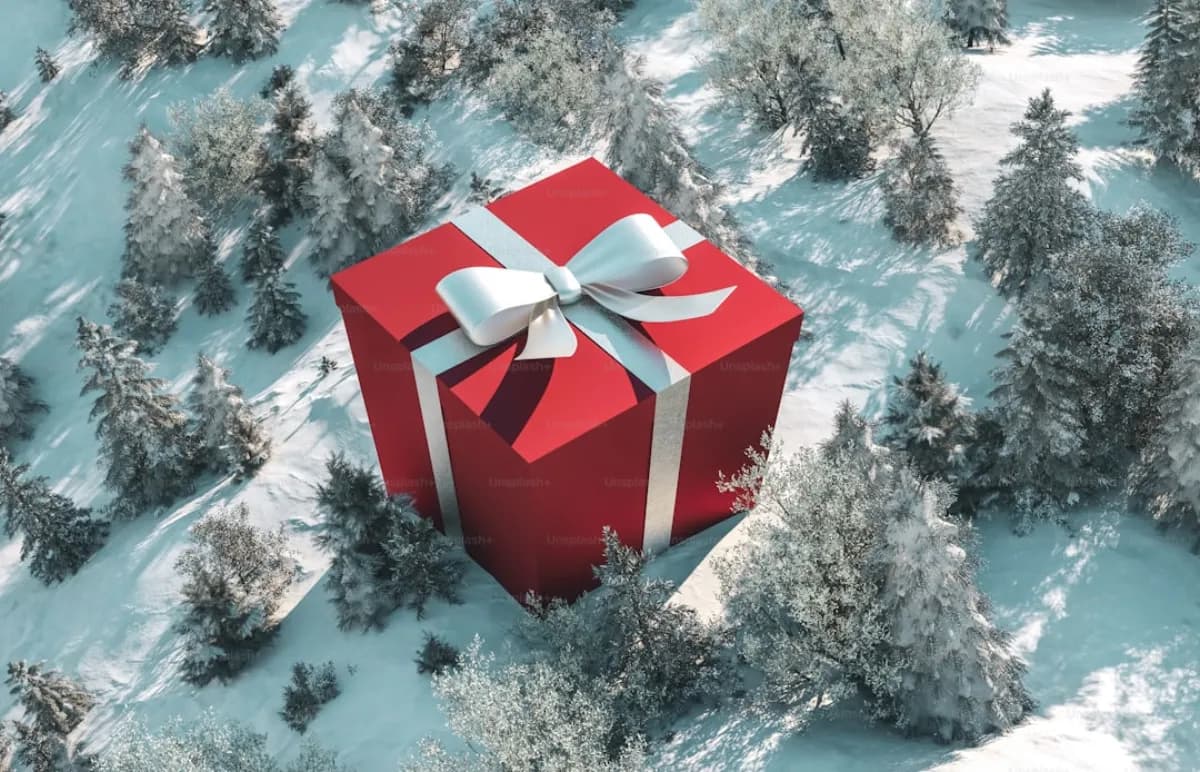 Zipline: O Presente de Natal Perfeito